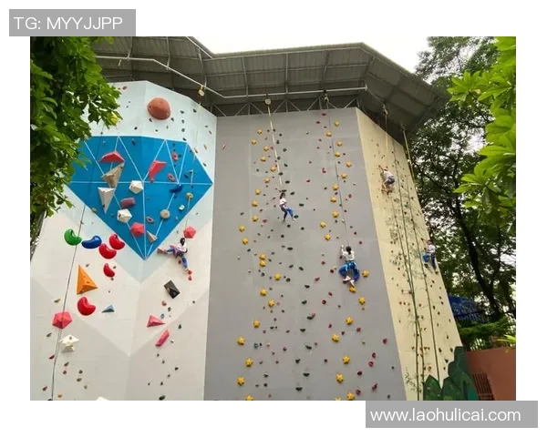 广州攀岩队逆袭之旅：从青涩到巅峰的奋斗与坚持