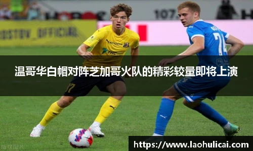 乐鱼体育APP
